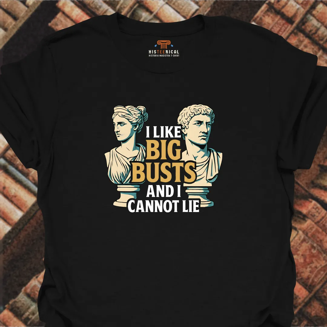 I Like Big Busts T-Shirt